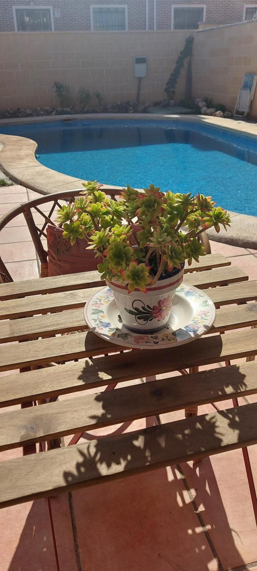 Habitacion,Piscina Y Jardin Azuqueca de Henares Bagian luar foto